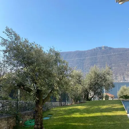 Verdolivo Sale Marasino