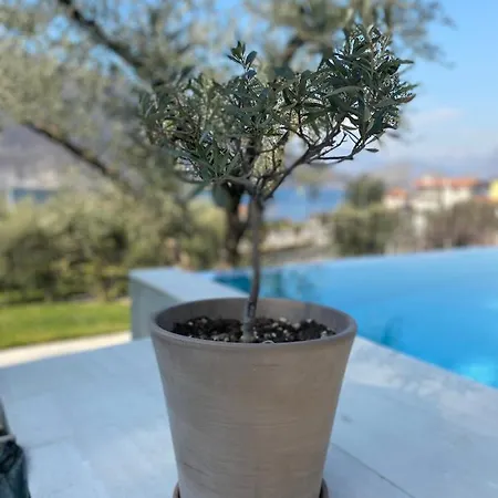 Verdolivo Bed & Breakfast Sale Marasino