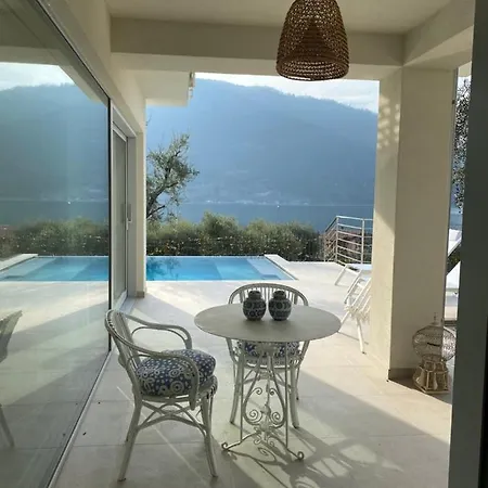 Verdolivo *