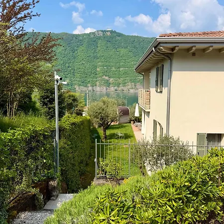 Verdolivo